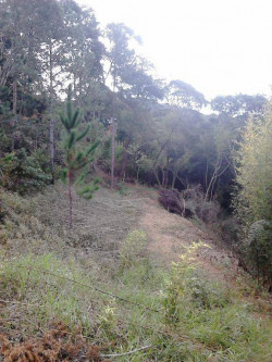 Foto Fazenda venda . Ref TE0063